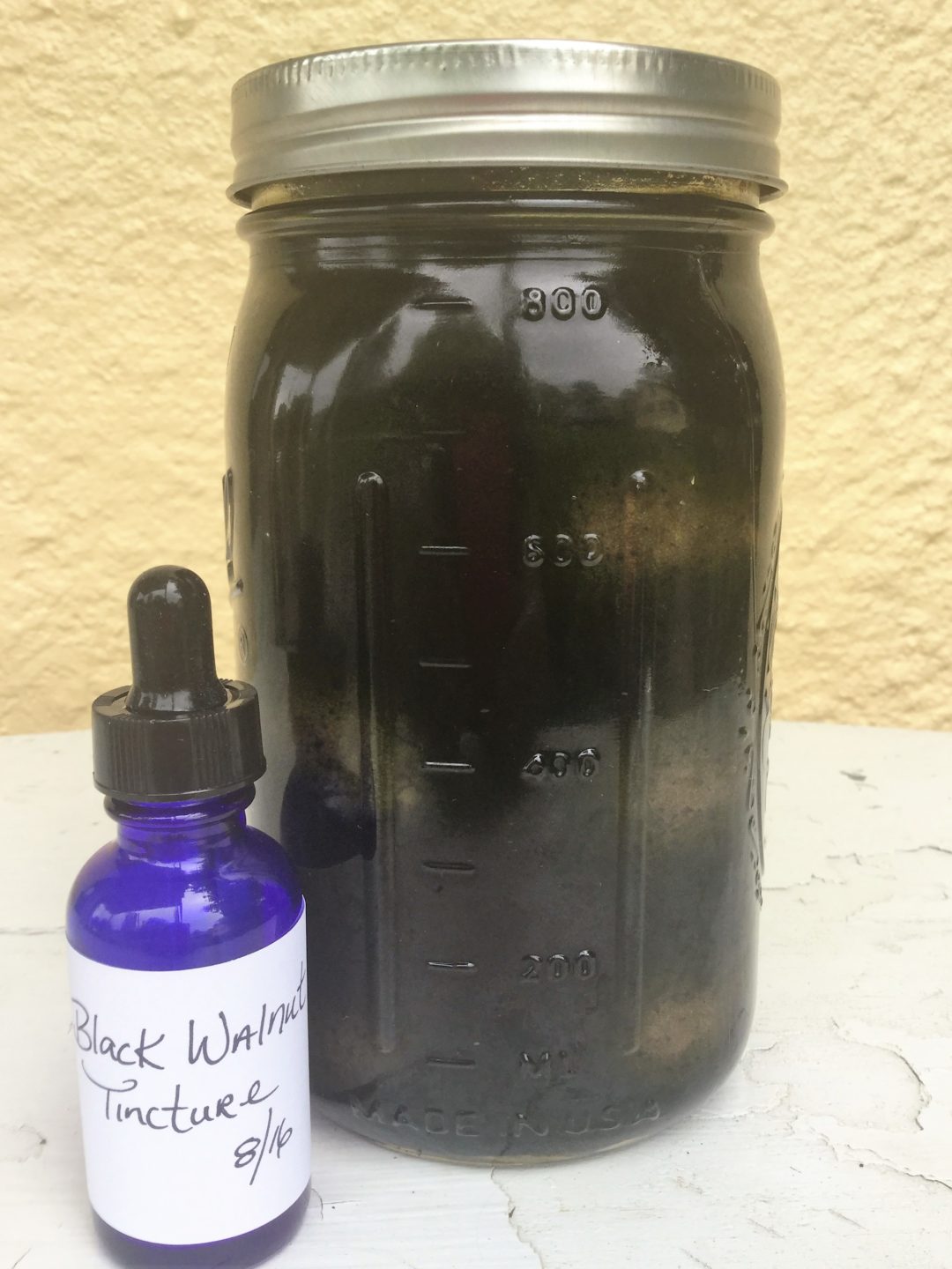 How to Make a Black Walnut Tincture My Healthy Homemade Life