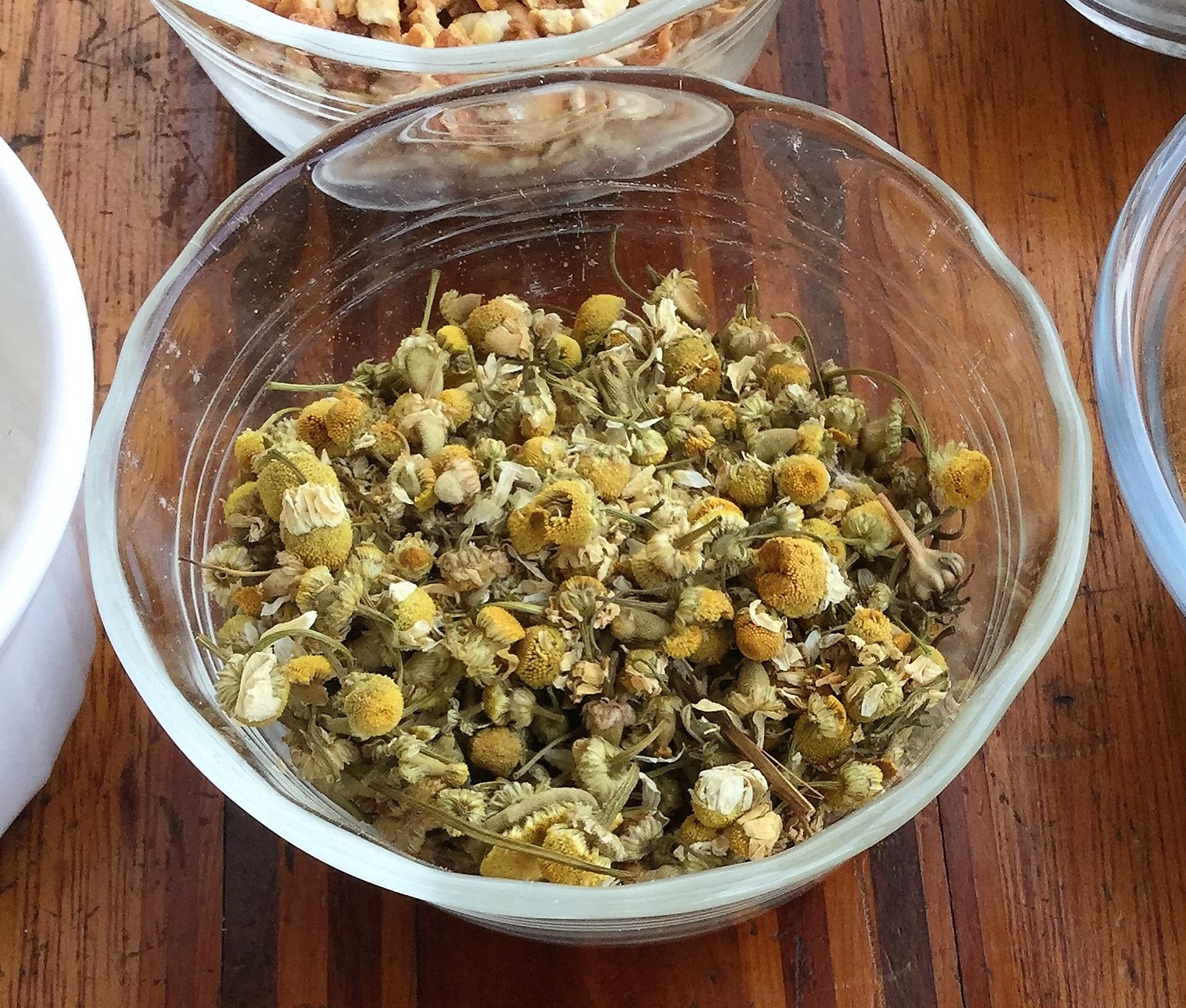 Cramp Bark Tincture for Muscle Aches, Cramps & Spasms Home Remedies