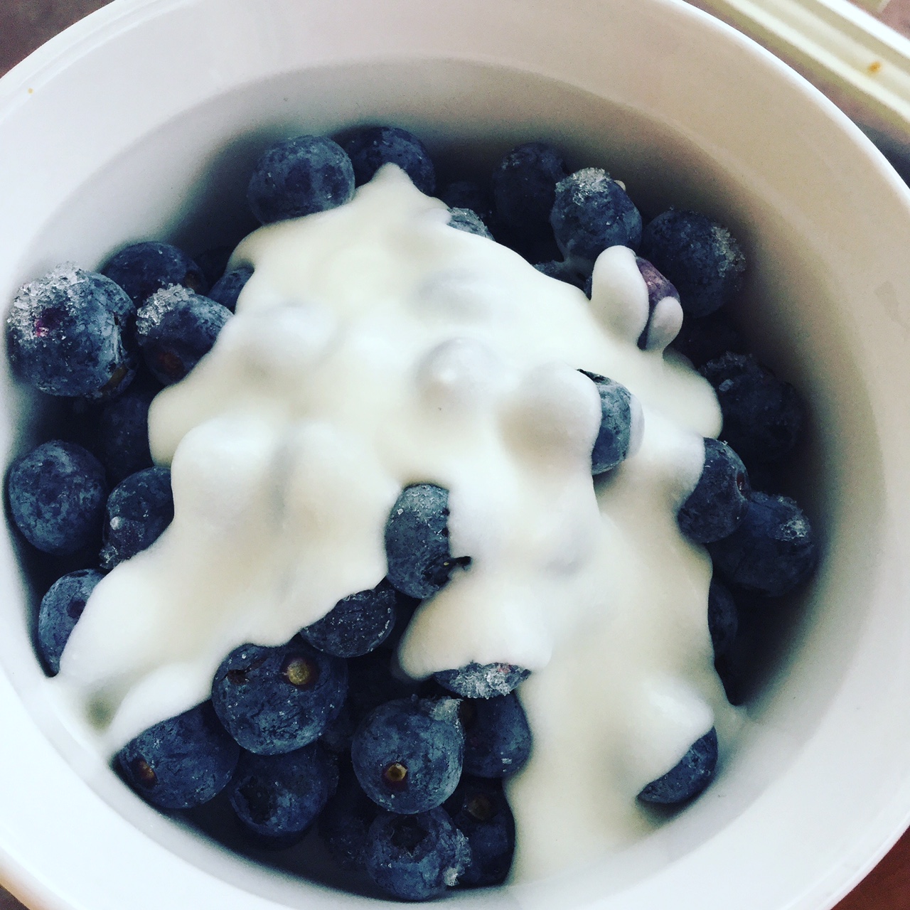 How to Make Coconut Milk Yogurt My Healthy Homemade Life