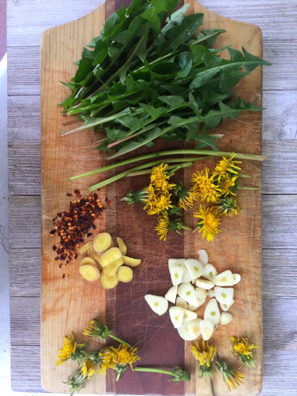 Spring Foraging 5 Ways to Use Dandelion My Healthy Homemade Life