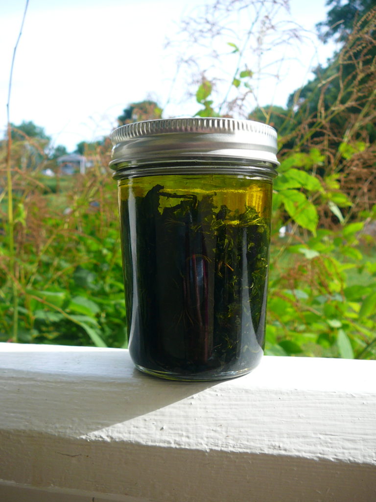 How To Make An All Purpose Salve With Plaintain --My Healthy Homemade Life