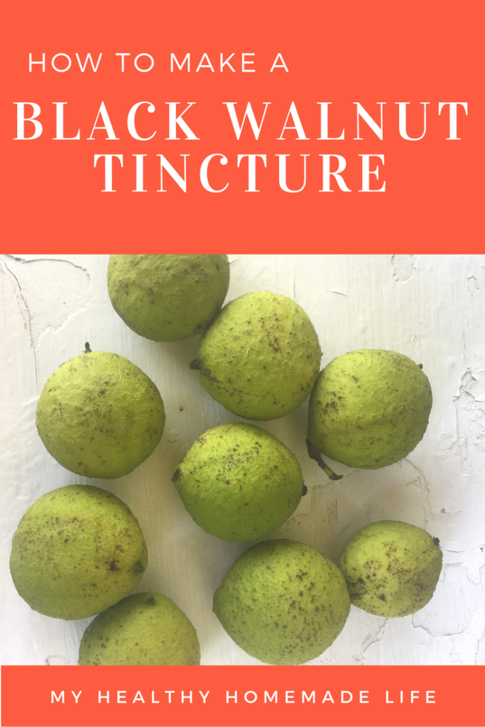 How to Make A Black Walnut Tincture | Herbal Medicine | Herbs | DIY Medicine | 