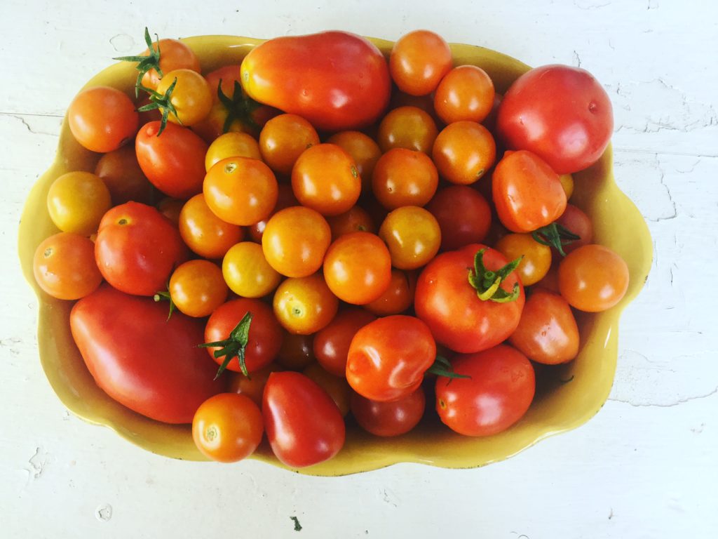 Roasted Garlic & Tomato Marinara Sauce is one of my favorite recipes for this time of year when we have access to beautiful, fresh tomatoes. This is my go-to recipe for creating an easy and delicious sauce that you can eat now or preserve or freeze for later. Vegan & Gluten Free. 