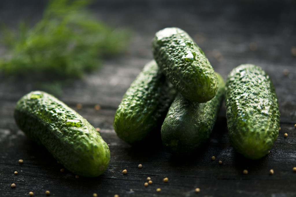 Easy Refrigerator Pickles -- Vegan & Gluten Free --- My Healthy Homemade Life