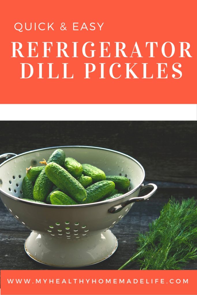 Quick & Easy Refrigerator Dill Pickles | Raw | Vegan | Fermented | Preserving Foods | Healthy Recipes | Clean Eating | Plant Based Diet