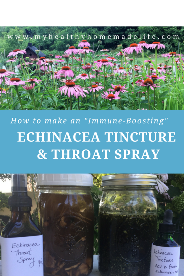 How to Make an “ImmuneBoosting” Echinacea Tincture & Throat Spray My