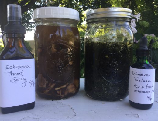 Homemade Echinacea Tincture & Throat Spray Recipe | Home Remedies | DIY Medicine | Herbal Medicine | Herbs