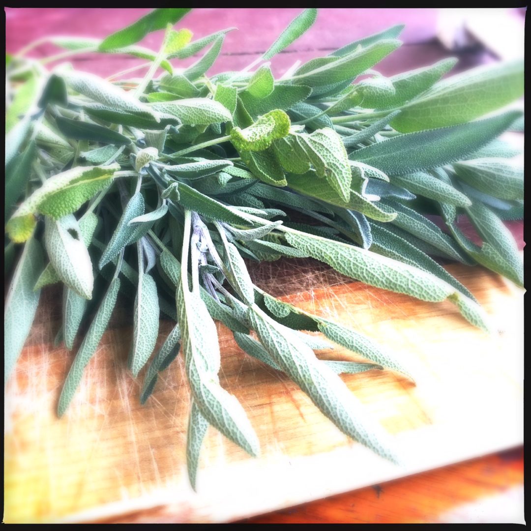 How to Make Sage Honey ( For Sore Throat & Coughs ) My Healthy