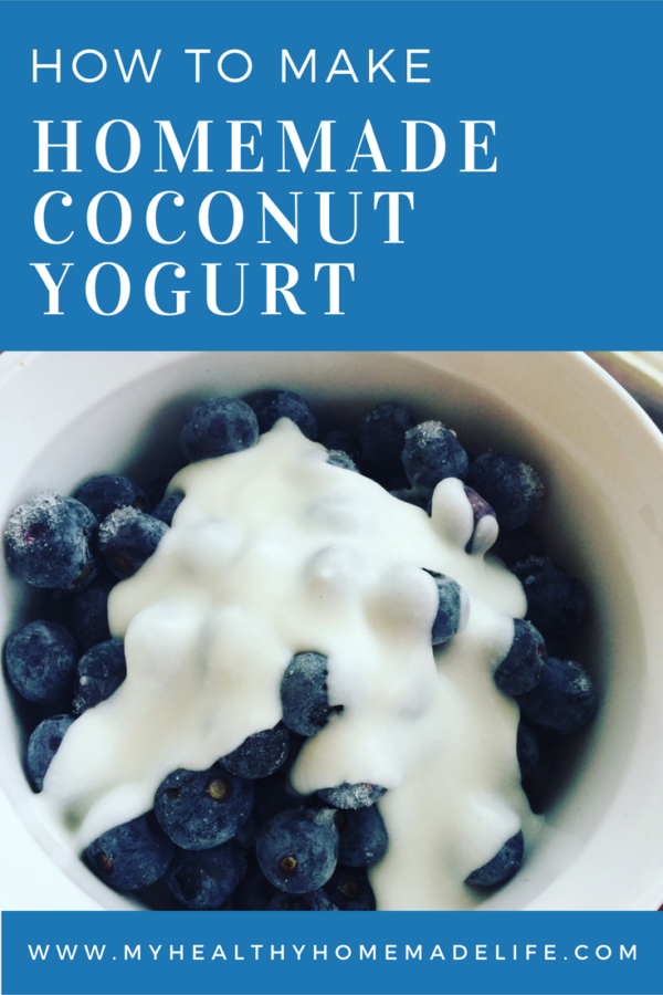 How to Make Coconut Milk Yogurt My Healthy Homemade Life