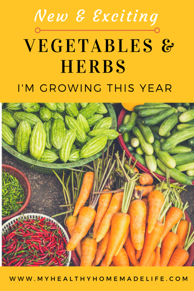Exciting New Vegetables & Herbs I'm Growing This Year | Gardening | DIY | Planting | Vegetables | My Healthy Homemade Life 