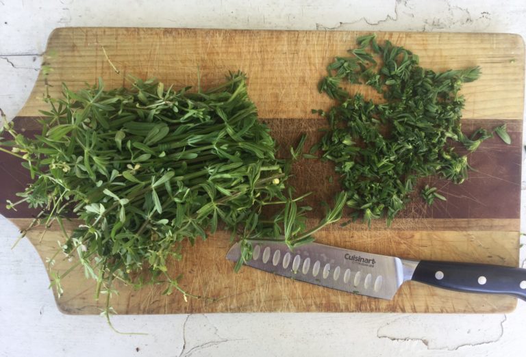 5 Ways to Use Fresh Cleavers As a Spring Tonic My Healthy Homemade Life