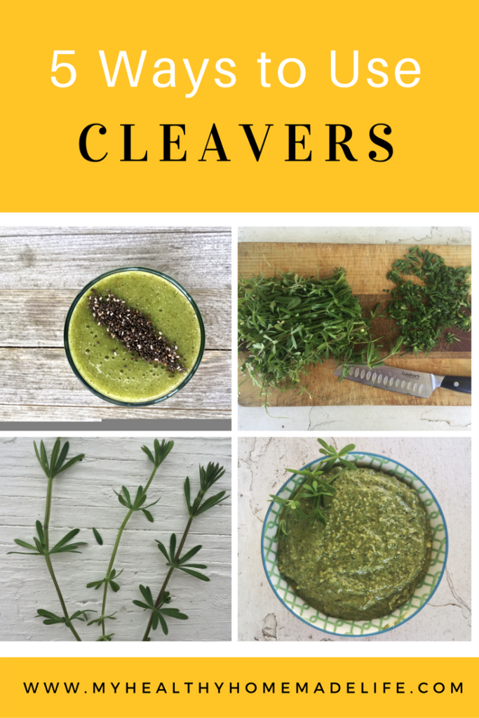 Spring Foraging | 5 Ways to Use Cleavers | Herbs | Herbal Remedies | Home Remedies | Healthy Recipes | Herbal DIY | My Healthy Homemade Life