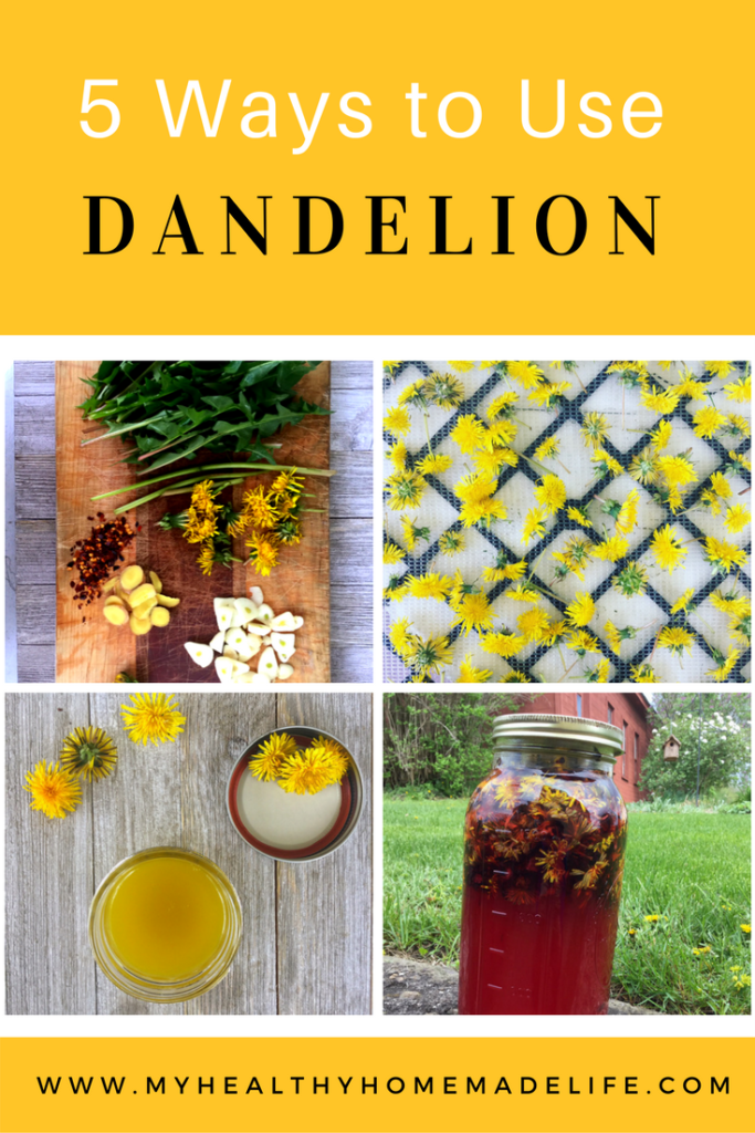 Spring Foraging | Wild Edibles | 5 Ways to Use Dandelions | Herbs ? DIY | Dandelion Salve | Sauteed Dandelion Greens | Dandelion Lemonade | Picked Dandelion Greens | Dandelion Jelly | My Healthy Homemade Life