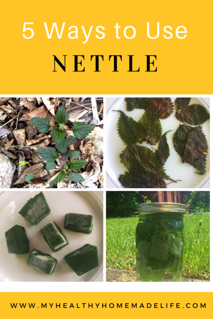 Spring Foraging | 5 Ways to Use Stinging Nettle | Herbal Tea | Wilted Nettle Greens | Nettle Chips | Hair Rinse | Herbs | Healthy Recipes | DIY | My Healthy Homemade Life