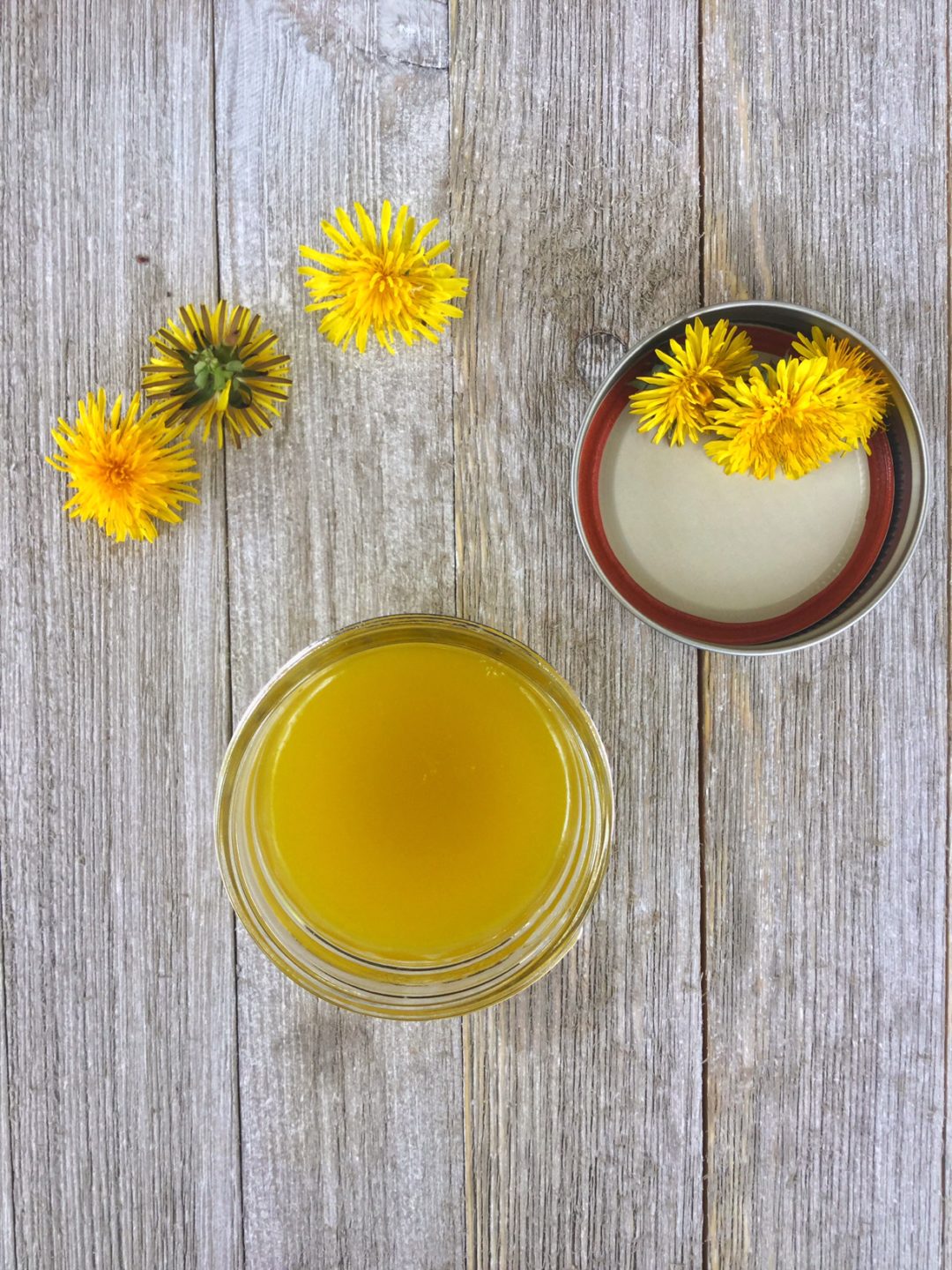 Spring Foraging 5 Ways to Use Dandelion My Healthy Homemade Life