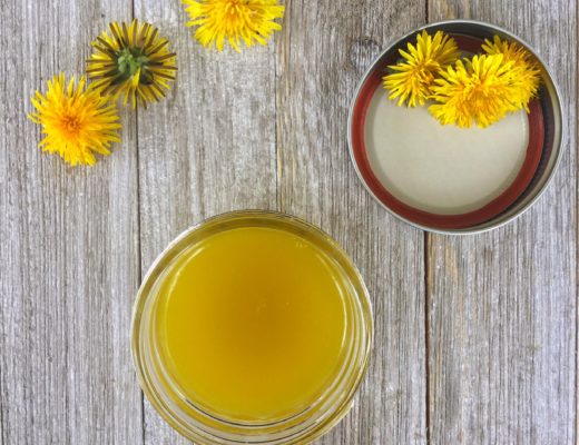 Spring Foraging | Wild Edibles | 5 Ways to Use Dandelions | Herbs ? DIY | Dandelion Salve | Sauteed Dandelion Greens | Dandelion Lemonade | Picked Dandelion Greens | Dandelion Jelly | My Healthy Homemade Life