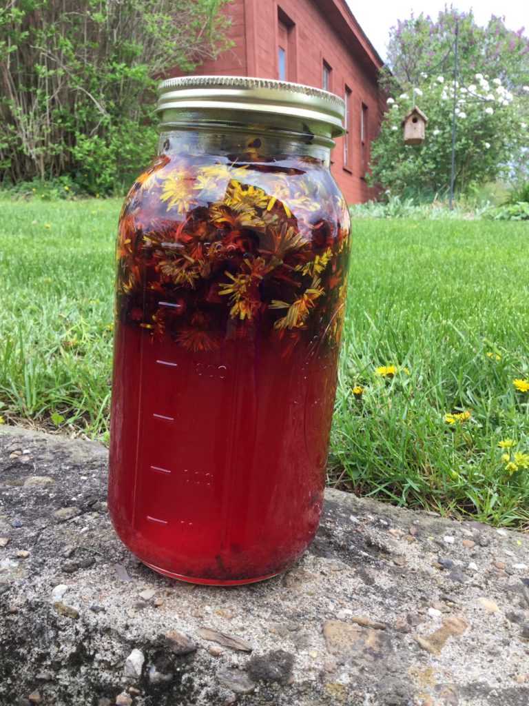 Spring Foraging | Wild Edibles | 5 Ways to Use Dandelions | Herbs ? DIY | Dandelion Salve | Sauteed Dandelion Greens | Dandelion Lemonade | Picked Dandelion Greens | Dandelion Jelly | My Healthy Homemade Life