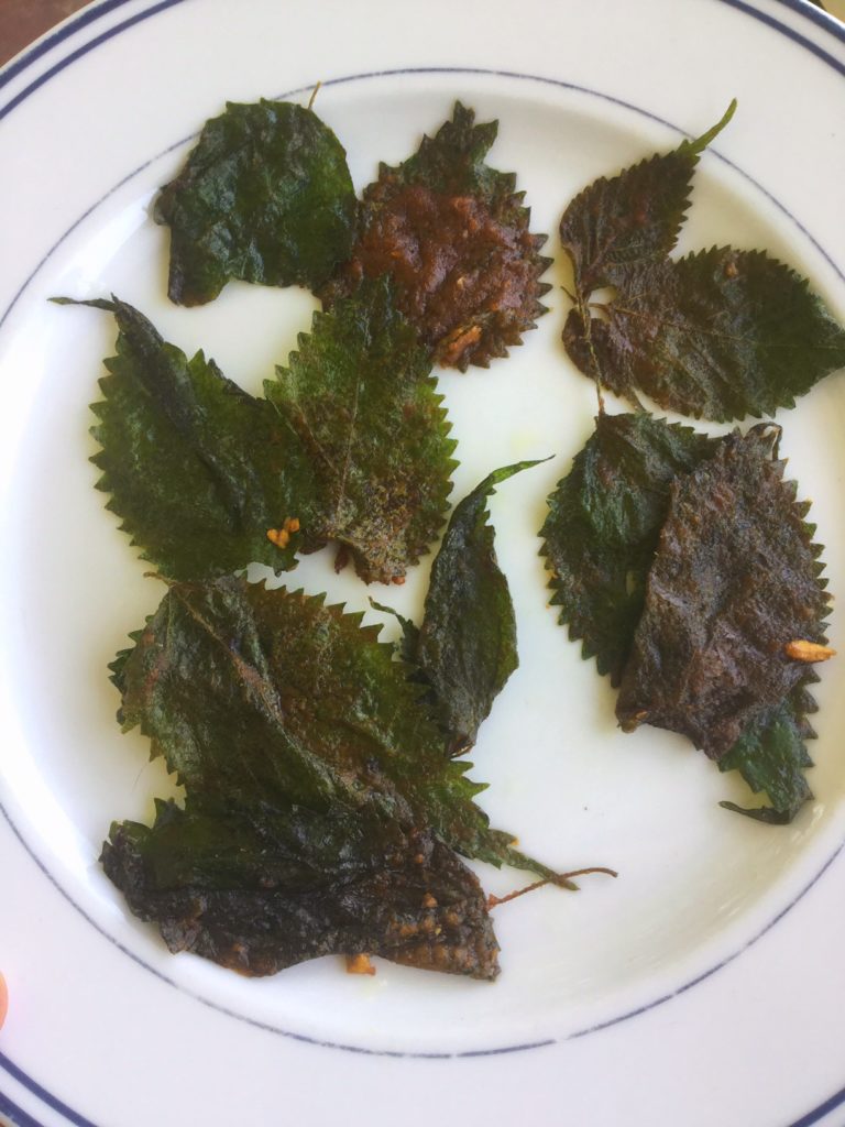 Spring Foraging | 5 Ways to Use Stinging Nettle | Herbal Tea | Wilted Nettle Greens | Nettle Chips | Hair Rinse | Herbs | Healthy Recipes | DIY | My Healthy Homemade Life 