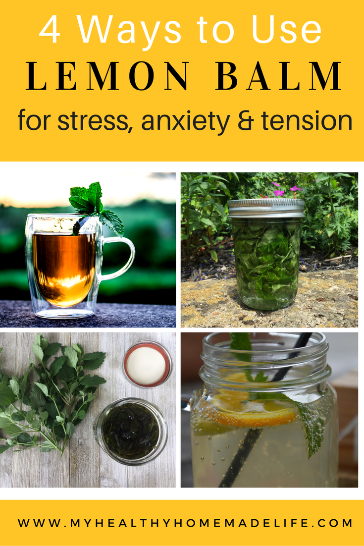 How to Use Lemon Balm for Stress, Tension and Anxiety | Herbal Remedies | Home Remedies | Herbal Tea Recipes | How to Make a Lemon Balm Tincture | How to Make a Lemon Balm Glycerite | My Healthy Homemade Life