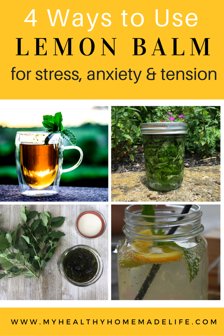 How to Use Lemon Balm for Stress, Tension and Anxiety | Herbal Remedies | Home Remedies | Herbal Tea Recipes | How to Make a Lemon Balm Tincture | How to Make a Lemon Balm Glycerite | My Healthy Homemade Life