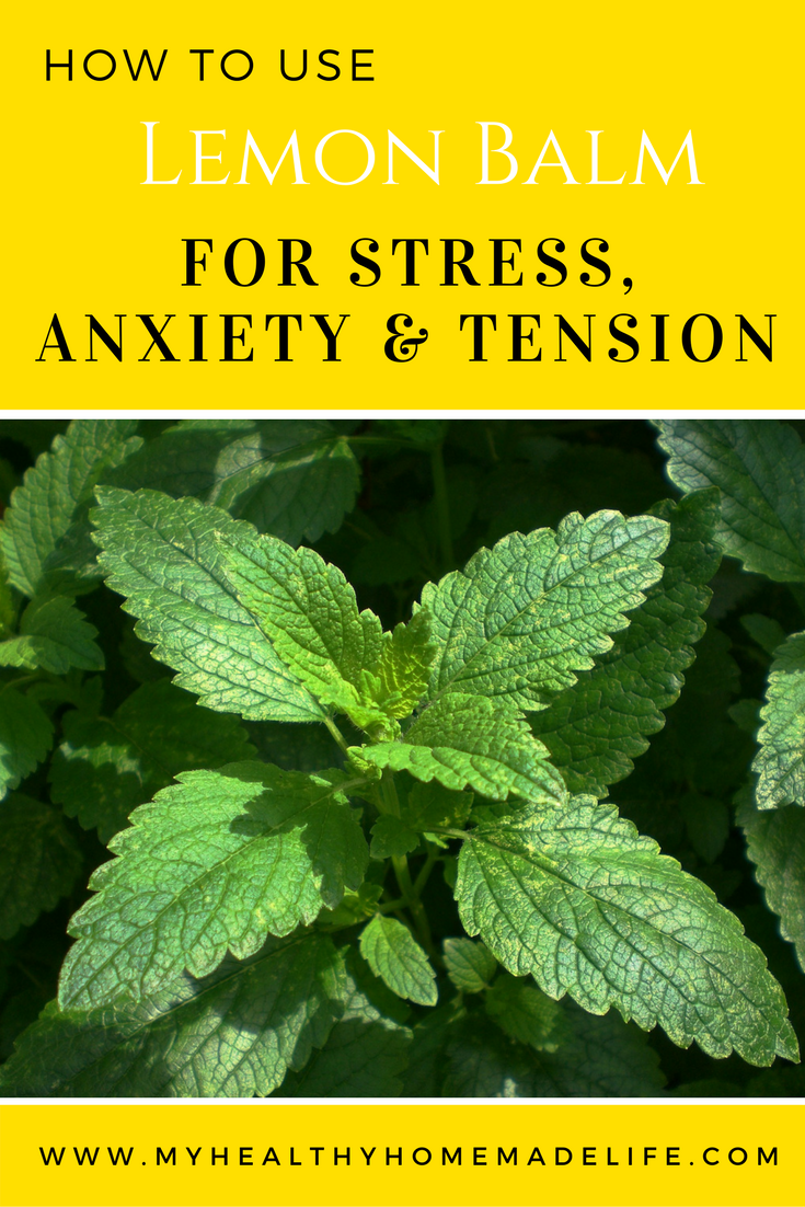 How to Use Lemon Balm for Stress, Tension and Anxiety | Herbal Remedies | Home Remedies | Herbal Tea Recipes | How to Make a Lemon Balm Tincture | How to Make a Lemon Balm Glycerite | My Healthy Homemade Life