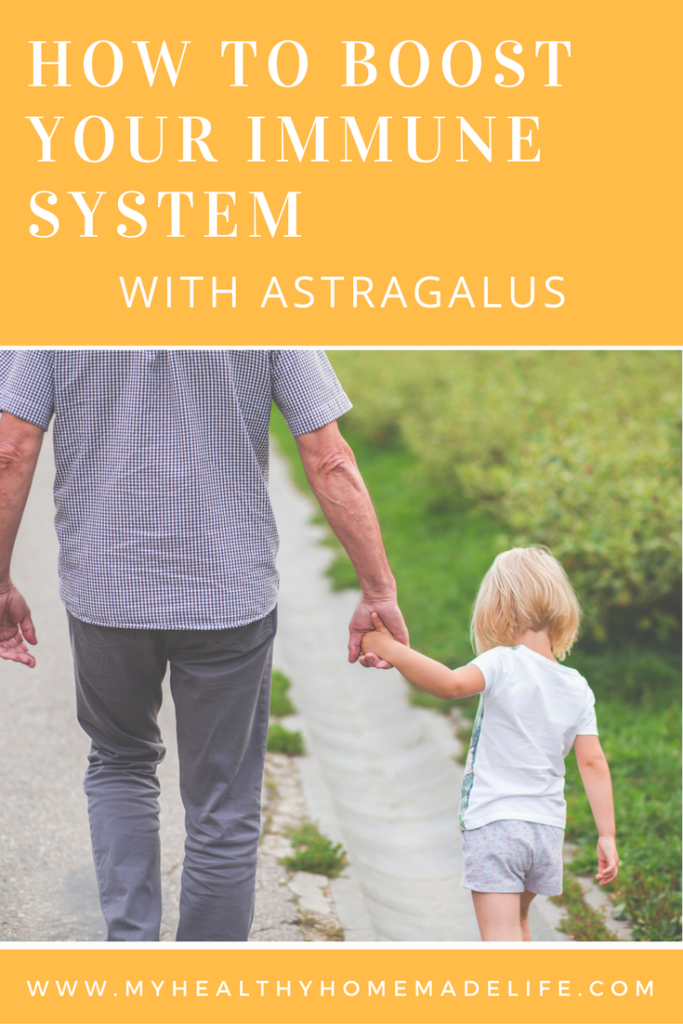 How to Boost Your Immunity with Astragalus | Herbal Remdies | Home Remedies | Immunity | Health | Herbs | My Healthy Homemade Life 