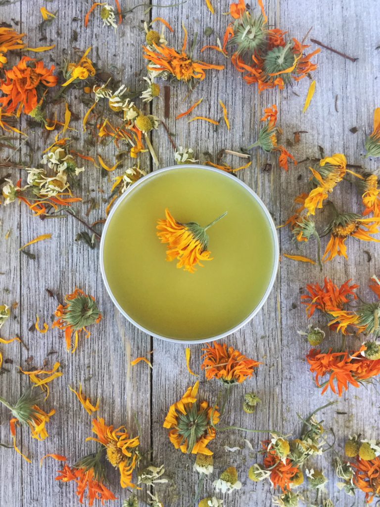 How to Make an All Purpose Healing Salve with Calendula, Chamomile & St. John's Wort | Herbal Home Remedies | DIY | Homemade | Herbal | Herbalism | My Healthy Homemade Life