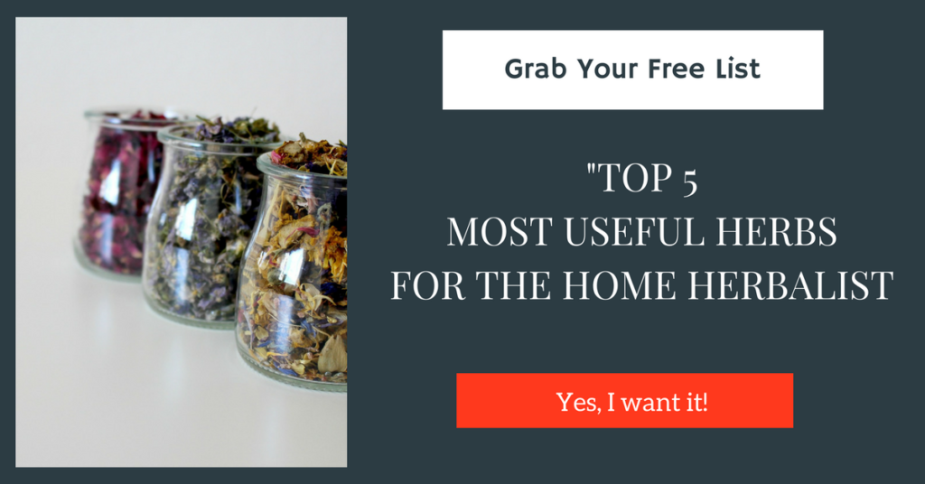 Grab Your Free List, Top 5 Most Useful Herbs for the Home Herbalist