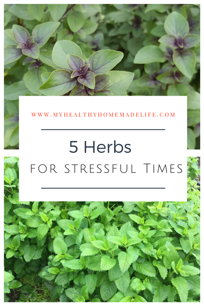 5 Herbs for Stressful Times | Herbal Home Remedies | Herbs | Catmint | Holy Basil | Tulsi | Chamomile | Skullcap | Lemon Balm | My Healthy Homemade Life | #herbs #stress #herbsforstress #homeremedies #herbalremedies