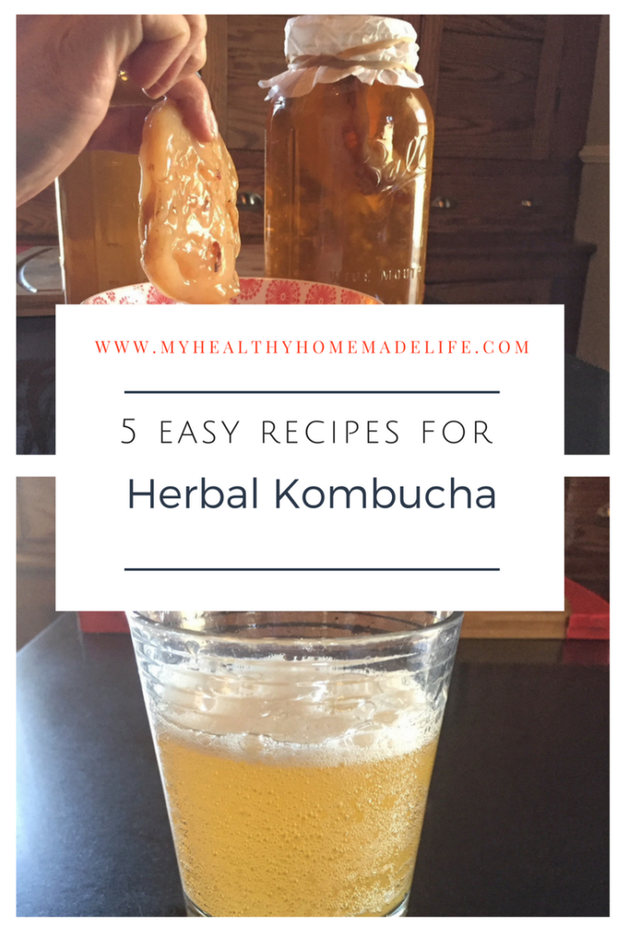 5 Easy Recipes for Making Herbal Kombucha | How to Make Herbal Kombucha | Elderberry | Rose | Hibiscus | Nettle | Ginger | Shisandra | Hawthorne | Orange | Fermented Drinks | My Healthy Homemade Life #kombucha #herbal #herbs #herbalkombucha #fermented