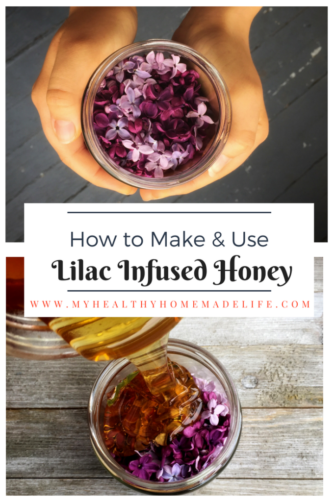 How to Make and Use Lilac Infused Honey Spread | Herbal DIY | Herbal Home Remedies | Healthy Living Recipes | Plant Based Diet | My Healthy Homemade Life #lilacs #honey #herbalremedies