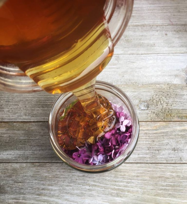 How to Make & Use Lilac Infused Honey My Healthy Homemade Life