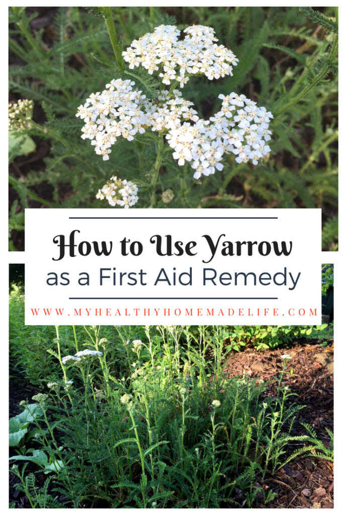 How to Use Yarrow for First Aid Home Remedy | Herbal Remedies | Healthy Herbs | My Healthy Homemade Life | #yarrow #homeremedies #herbalremedies