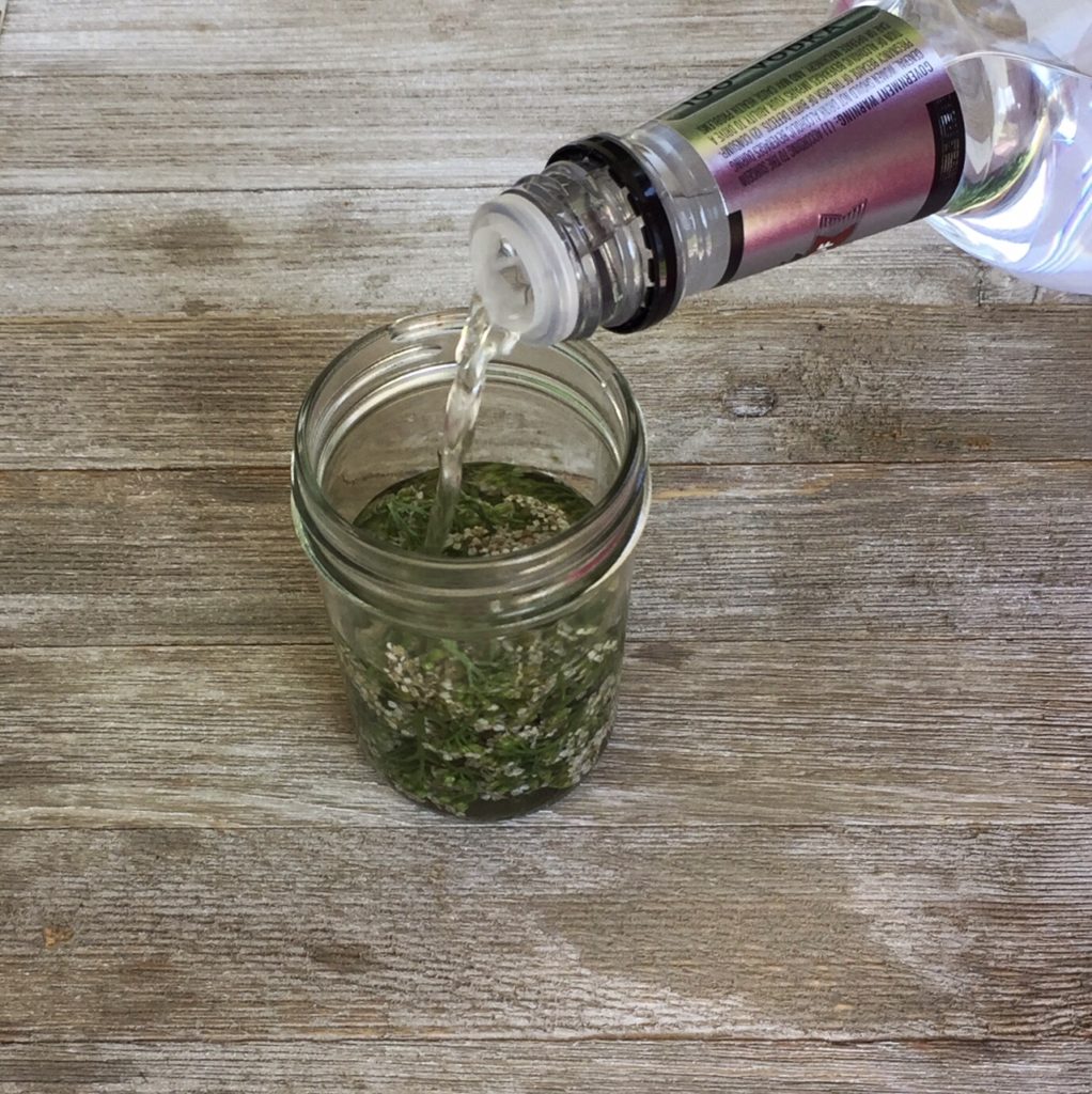 How to Use Yarrow as a Herbal Home Remedy | Tincture | Tea | Digestive Bitters | My Healthy Homemade Life #yarrow #homeremedies #herbs #herbal 