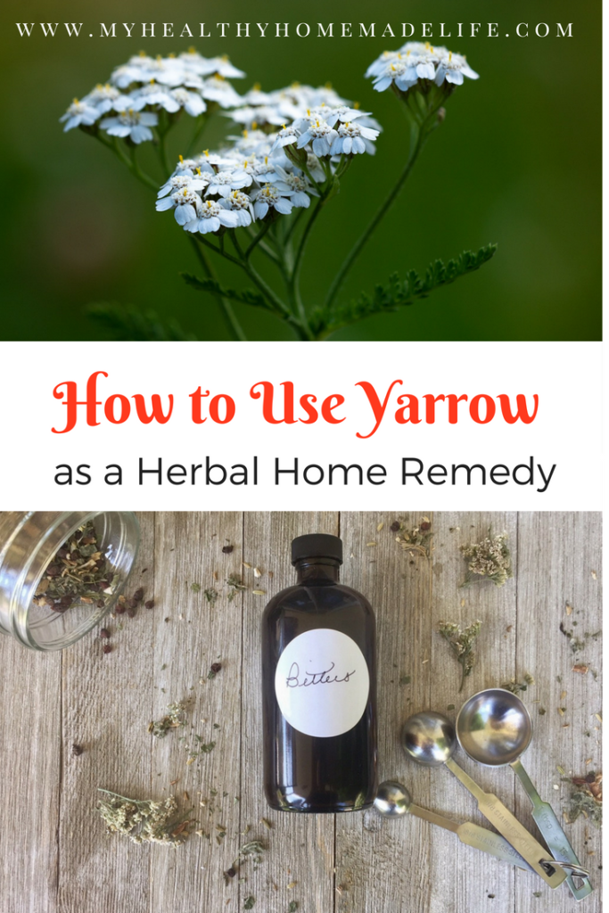 How to Use Yarrow as a Herbal Home Remedy | Tincture | Tea | Digestive Bitters | My Healthy Homemade Life #yarrow #homeremedies #herbs #herbal