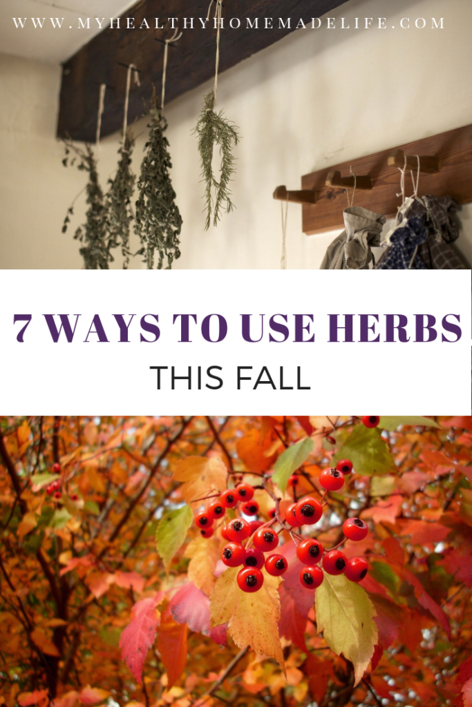 7 Ways to Use Herbs This Fall | Herbal Home Remedies | Healthy Living | Salves | Infused Oils Honey | Fire Cider | My Healthy Homemade Life | #herbs #herbalremedies #homeremedy