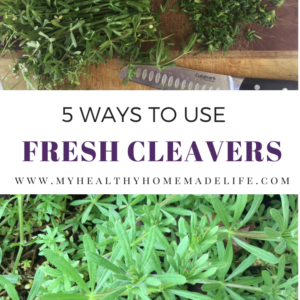 Spring Foraging | 5 Ways to Use Fresh Cleavers | Cleavers Recipes | How to Use Cleavers | Cleavers Pesto | Cleavers Smoothie | Cleavers Vinegar | Cleavers Tea