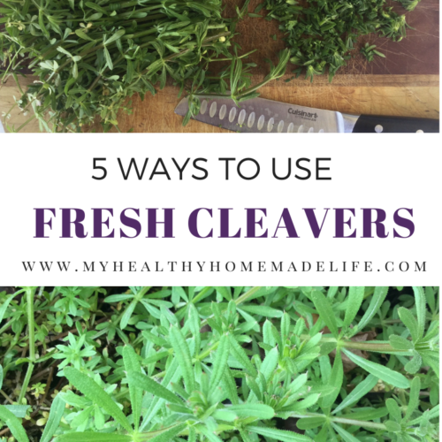 5 Ways to Use Fresh Cleavers As a Spring Tonic My Healthy Homemade Life