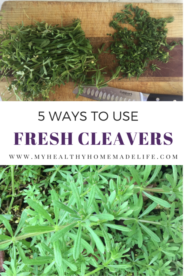 5 Ways to Use Fresh Cleavers As a Spring Tonic My Healthy Homemade Life